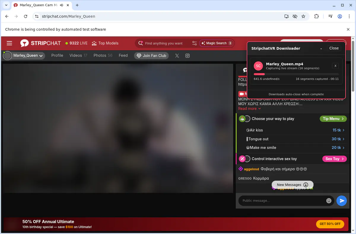 Stripchatvr Video Downloader browser extension screenshot 3