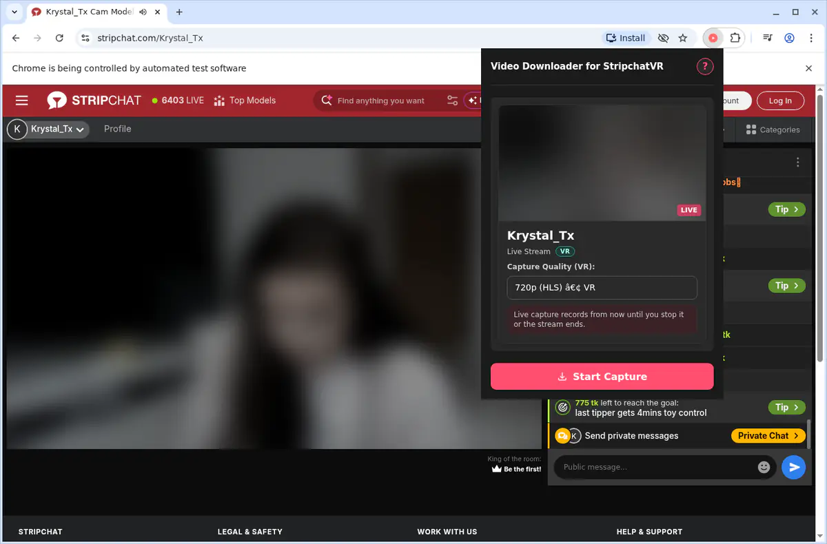 Stripchatvr Video Downloader browser extension screenshot 4